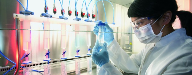 lab